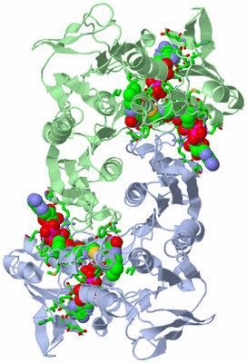 Image Asym./Biol. Unit - sites