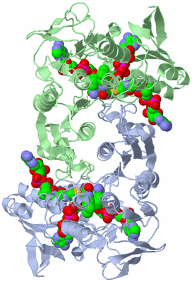 Image Asym./Biol. Unit