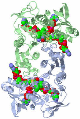 Image Asym./Biol. Unit