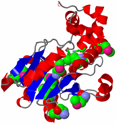 Image Asym./Biol. Unit - sites