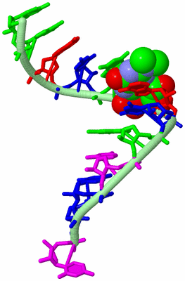 Image Biological Unit 3