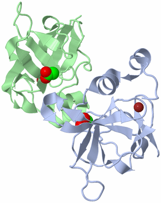 Image Biological Unit 1