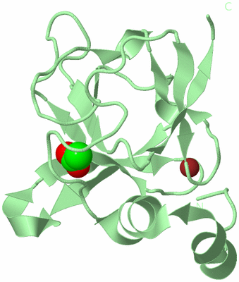 Image Biological Unit 3