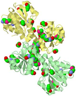 Image Biological Unit 2