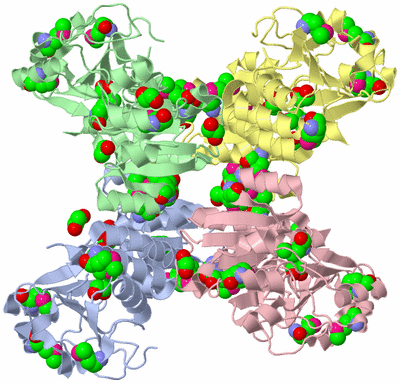 Image Biological Unit 3