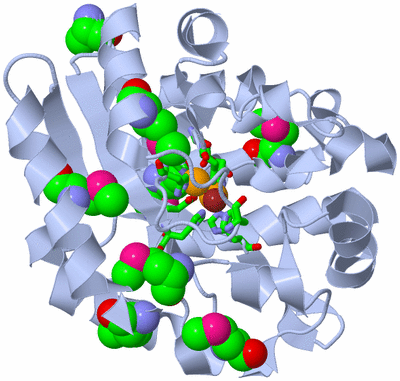 Image Biol. Unit 1 - sites