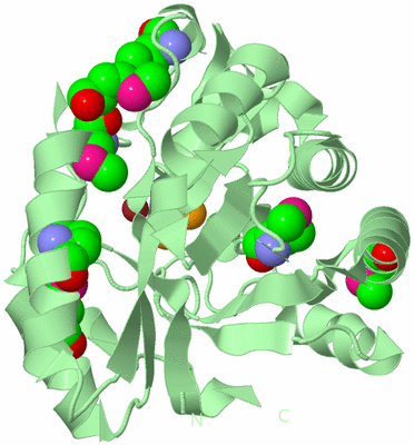 Image Biological Unit 2