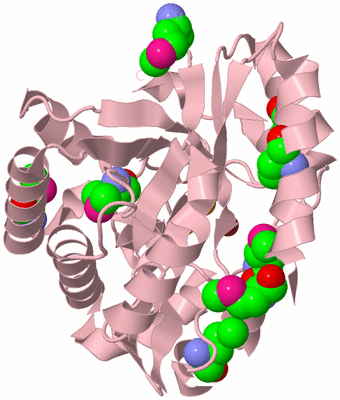 Image Biological Unit 3