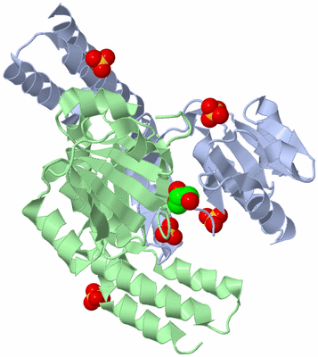 Image Asym./Biol. Unit