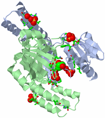 Image Asym./Biol. Unit - sites