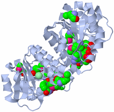 Image Biological Unit 1