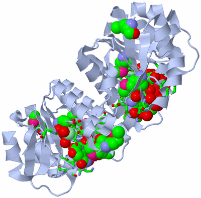 Image Biol. Unit 1 - sites