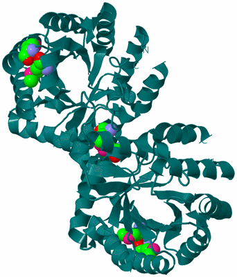 Image Biological Unit 1