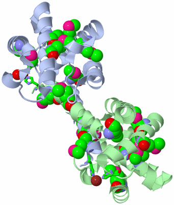 Image Asym./Biol. Unit - sites