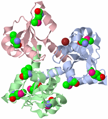 Image Asym./Biol. Unit