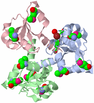 Image Asym./Biol. Unit - sites