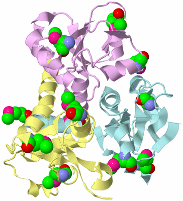 Image Biological Unit 2