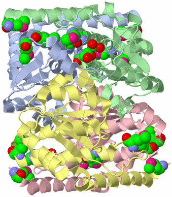 Image Asym./Biol. Unit