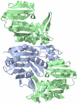 Image Biological Unit 2