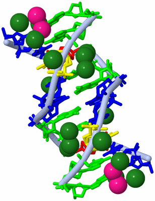 Image Biological Unit 1