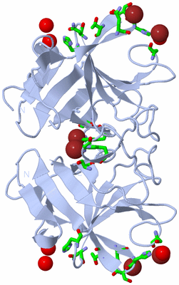 Image Biol. Unit 1 - sites