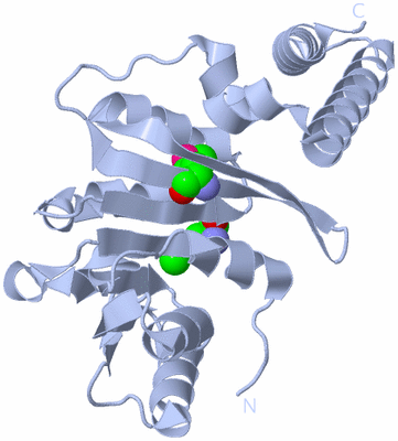 Image Biological Unit 1