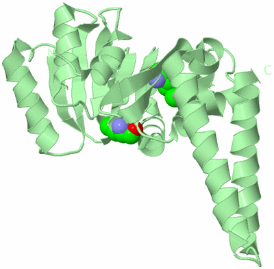 Image Biological Unit 2