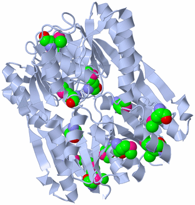 Image Biological Unit 2