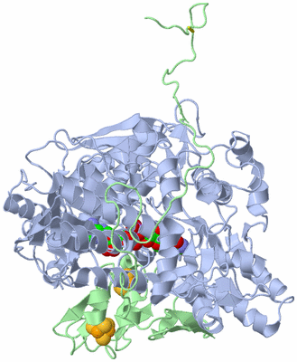 Image Biological Unit 1