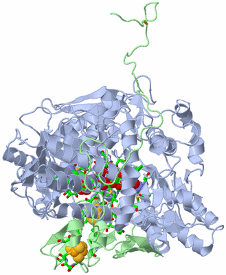 Image Biol. Unit 1 - sites