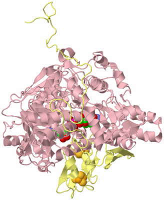 Image Biological Unit 2