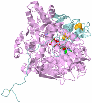 Image Biological Unit 3