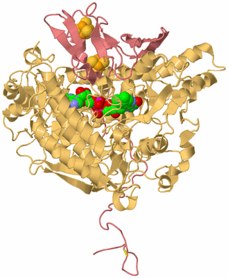 Image Biological Unit 4