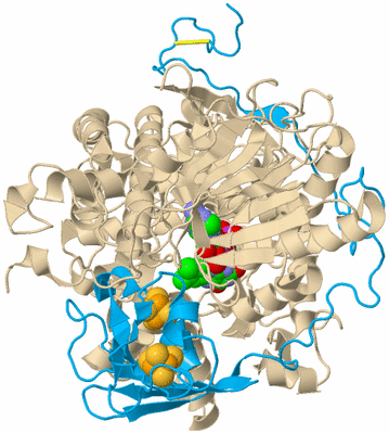 Image Biological Unit 5