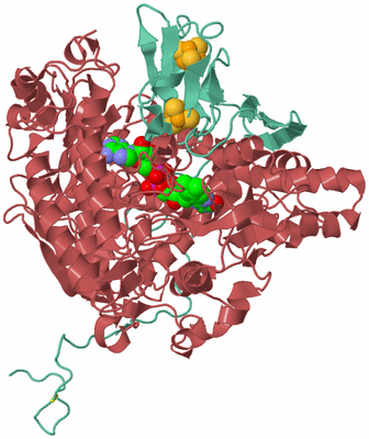 Image Biological Unit 6