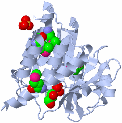 Image Biological Unit 1