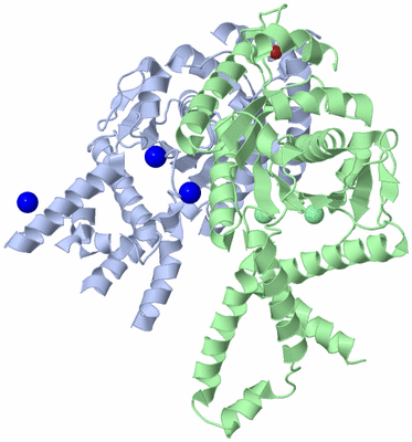 Image Biological Unit 1