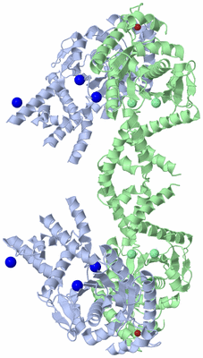 Image Biological Unit 2