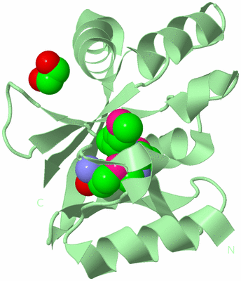 Image Biological Unit 2