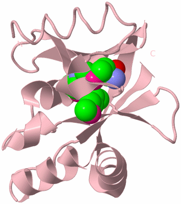 Image Biological Unit 3