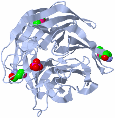 Image Biological Unit 1