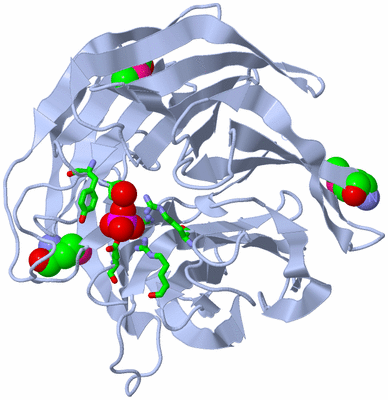 Image Biol. Unit 1 - sites