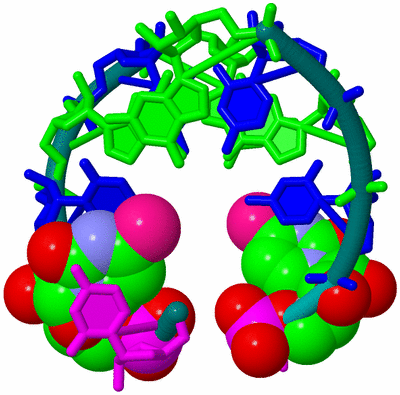 Image Biological Unit 1