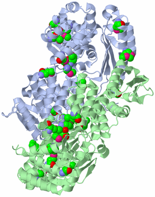 Image Asym./Biol. Unit