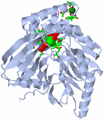 Image Biol. Unit 1 - sites