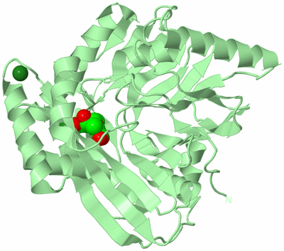 Image Biological Unit 2