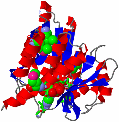 Image Asym./Biol. Unit - sites