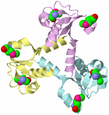 Image Biological Unit 2