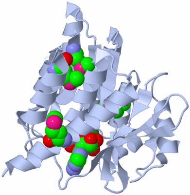 Image Biological Unit 1