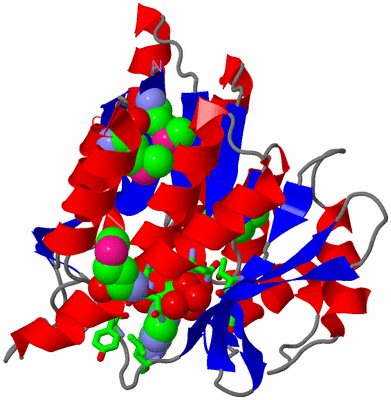 Image Asym. Unit - sites